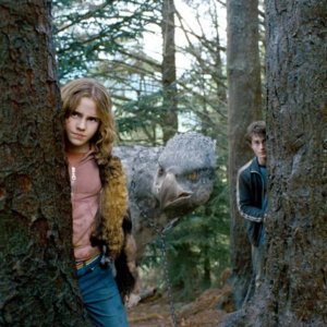 Harry Potter