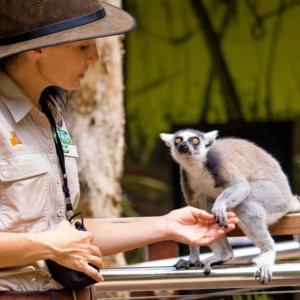 https://indulgemagazine.net/ - Indulge Magazine - Queensland Travel Experiences/