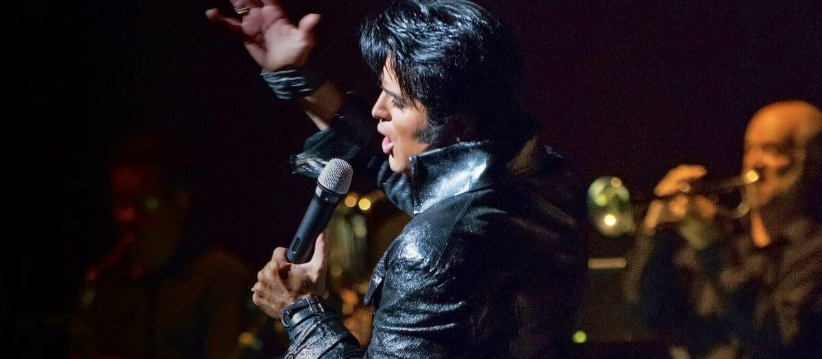 dean z elvis comeback