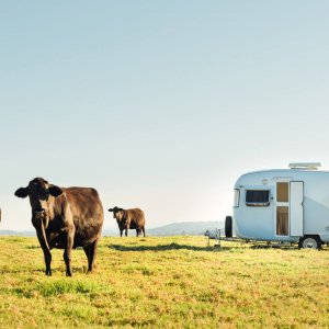 Photography Duo Travel 40,000km Around Australia - Indulge Magazine