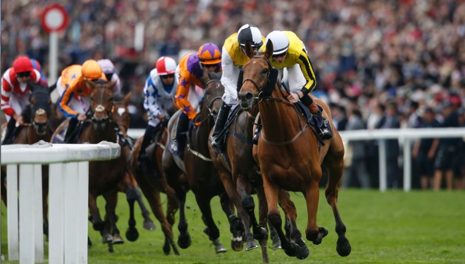 Horse-Race-1