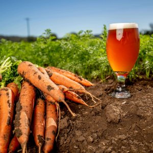 Carrot-Beer-Indulge-Magazine
